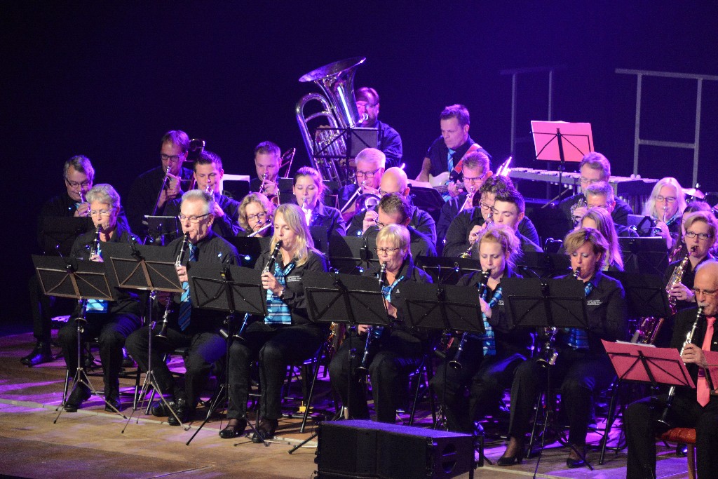 ../Images/Jubileumconcert 100 jaar Harpe Davids 056.jpg